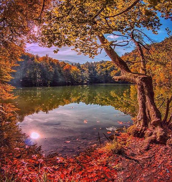 Antalya Çıkışlı Batı Karadeniz Turu
